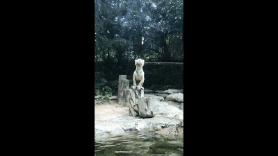 污水处理运营